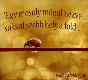 szep_kepek__hatterkep_11_175256_89565 másolata