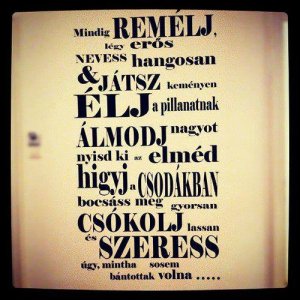 970648_370471629739960_645221861_n